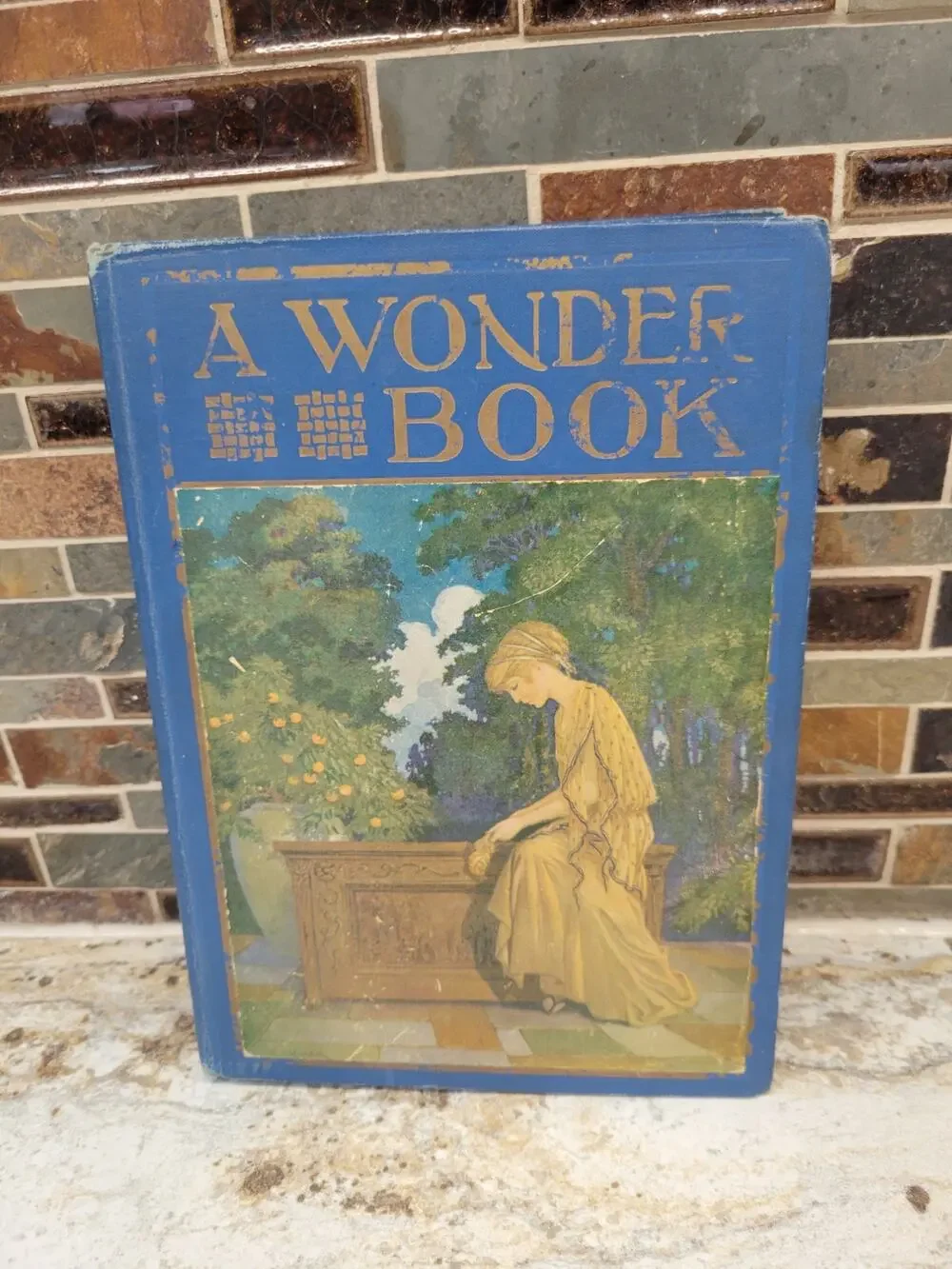 Antique 1913 A Wonder Book for Girls and Boys Windermere Series Milo Winter Ill